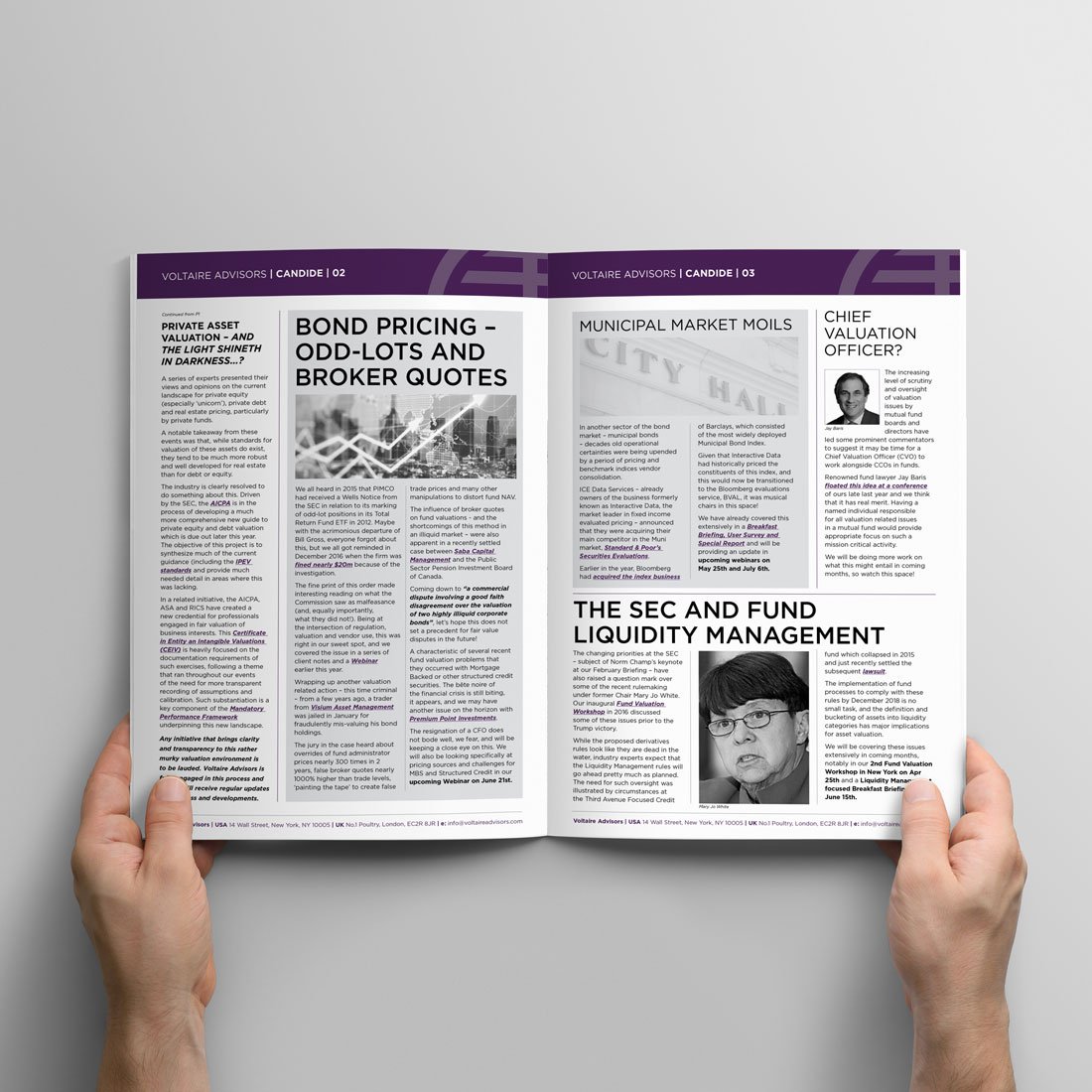 Meth-web-square-1100x1100-voltaire-advisors-newsletter