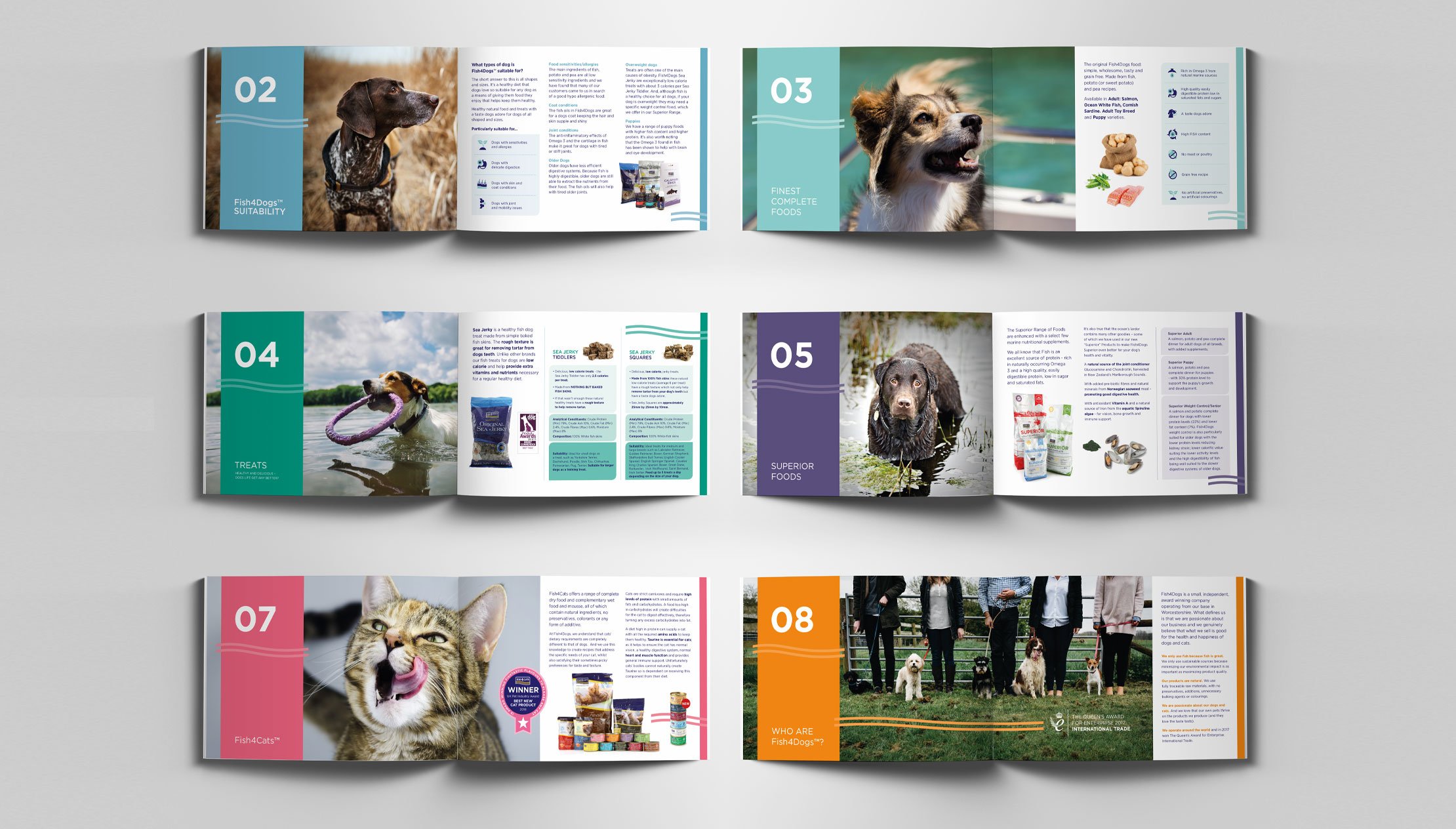 Meth-web-full-width-fish4dogs-corp-brochure