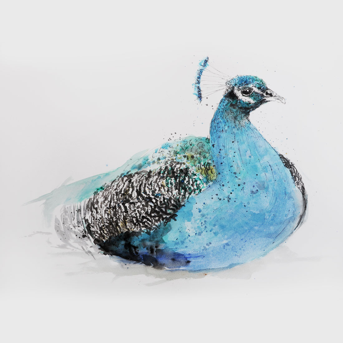 Meth-web-square-1100x1100-zaza-shelley-guinea-fowl